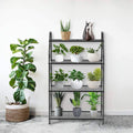 4-Tier Black Metal Plant Stand