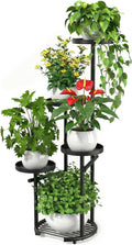 5-Tier Black Round Metal Corner Plant Stand