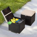 2-Pack Black-Beige Wicker Outdoor Storage Ottoman